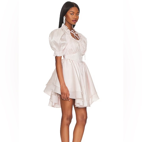 Selkie Dresses & Skirts - NWT Selkie XL Organdy Portrait of a Lady in Strawberry Milk